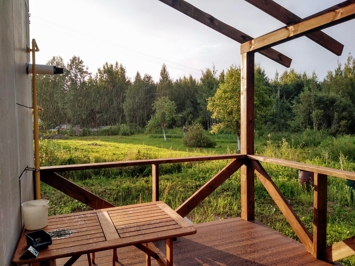 Нарастет виноград и будет зашибись!