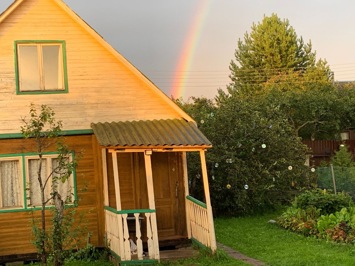 Вид на большой дом. Справа черноплодка в дисках - охрана  ягод от птиц. 
