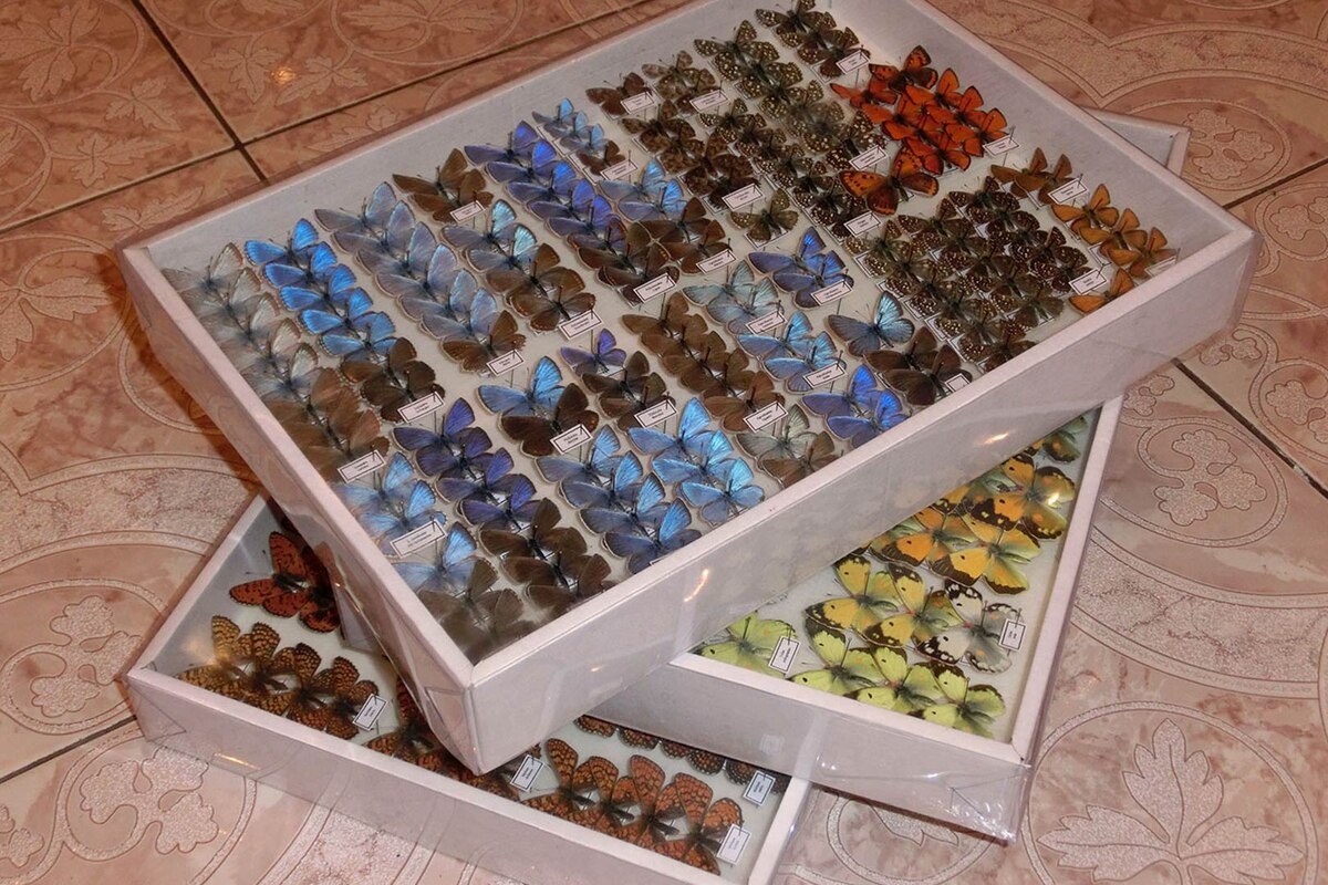 Добавьте описание