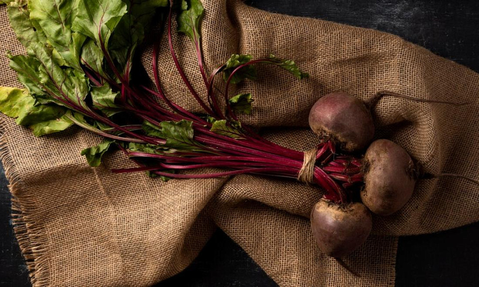 Фото: ru.freepik.com