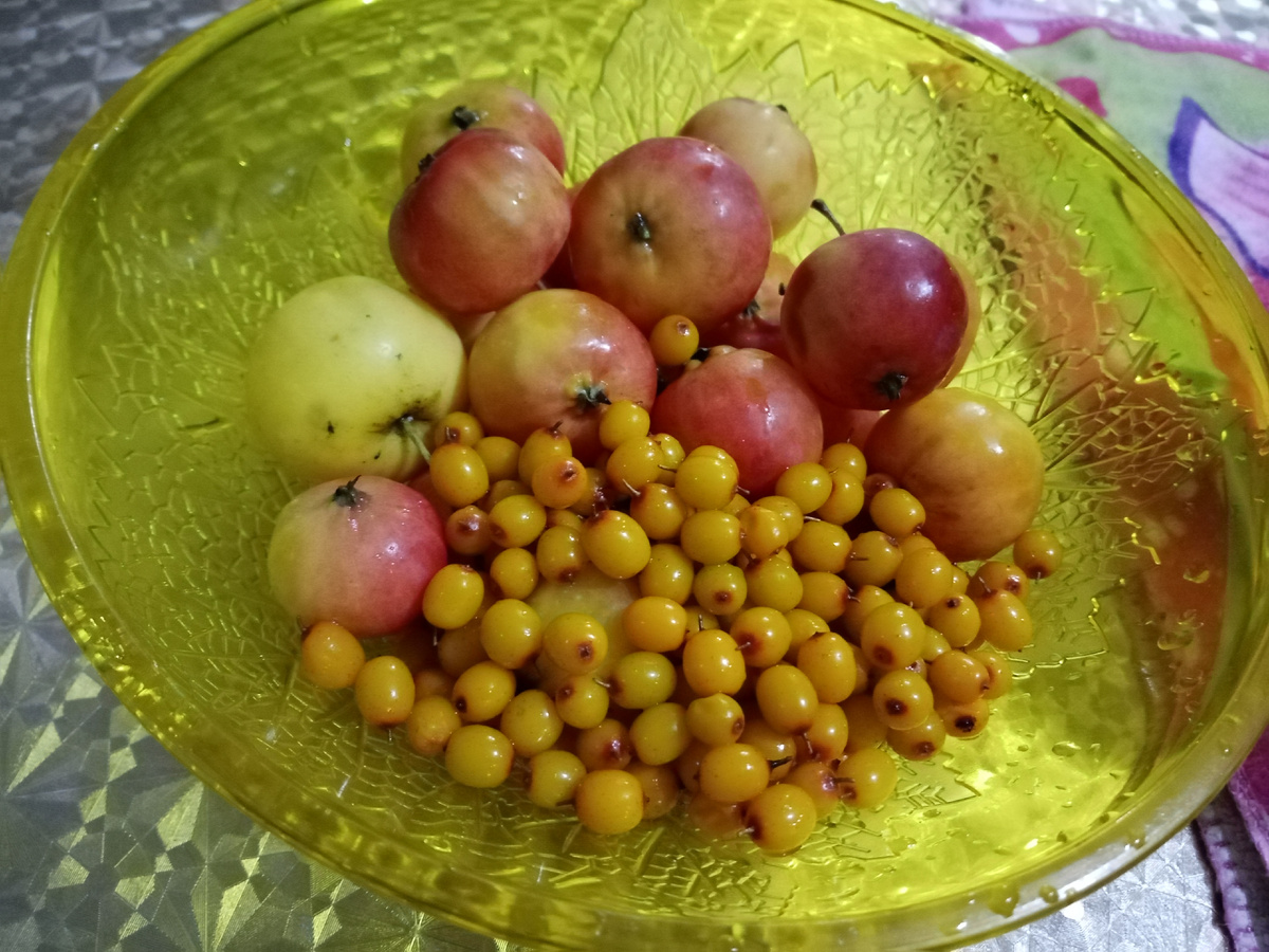 ранетки и облепиха в августе фото автора