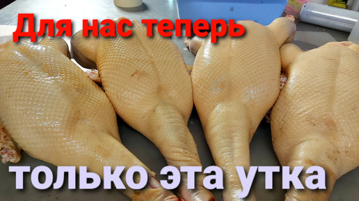 Теперь только эта утка! Утка СК-6, Гуси Линда, Ред Бро и индюки Хайбрид Конвертер