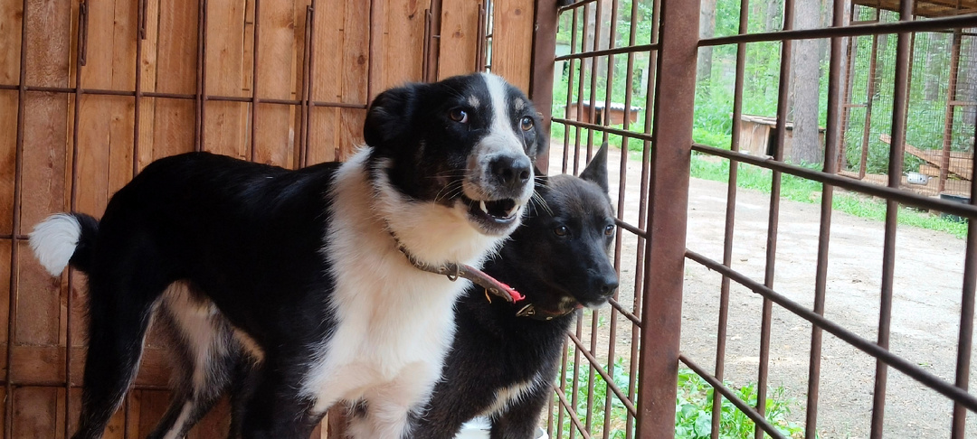 Мы, конечно, сильные, но помощь и нам бывает нужна