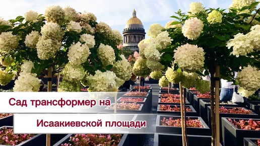 Скачать видео: Сад на Исаакиевской площади в Санкт-Петербурге напротив Мариинского дворца . Исаакиевский собор весь в цветах