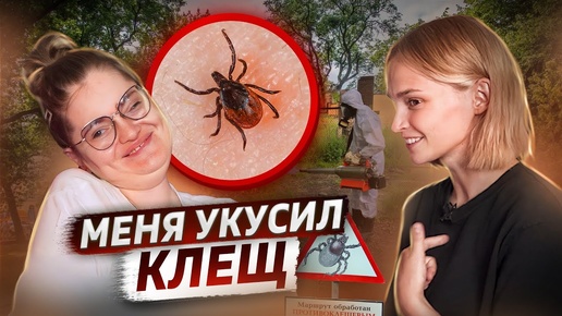 Меня укусил клещ | клещевой энцефалит