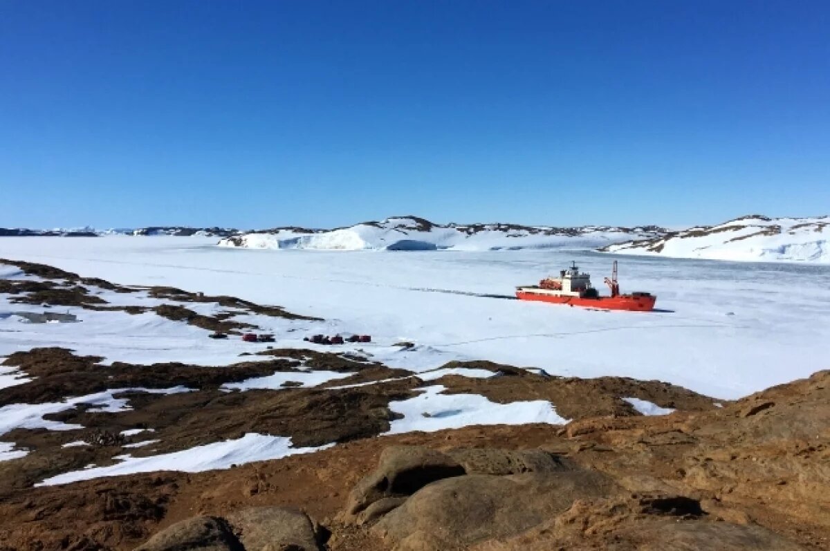    Московские школьники смогут отправиться в экспедицию в Антарктиду