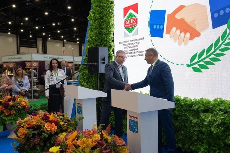    Новый мясоперерабатывающий завод стоимостью 200 млн рублей построят в Ленинградской области