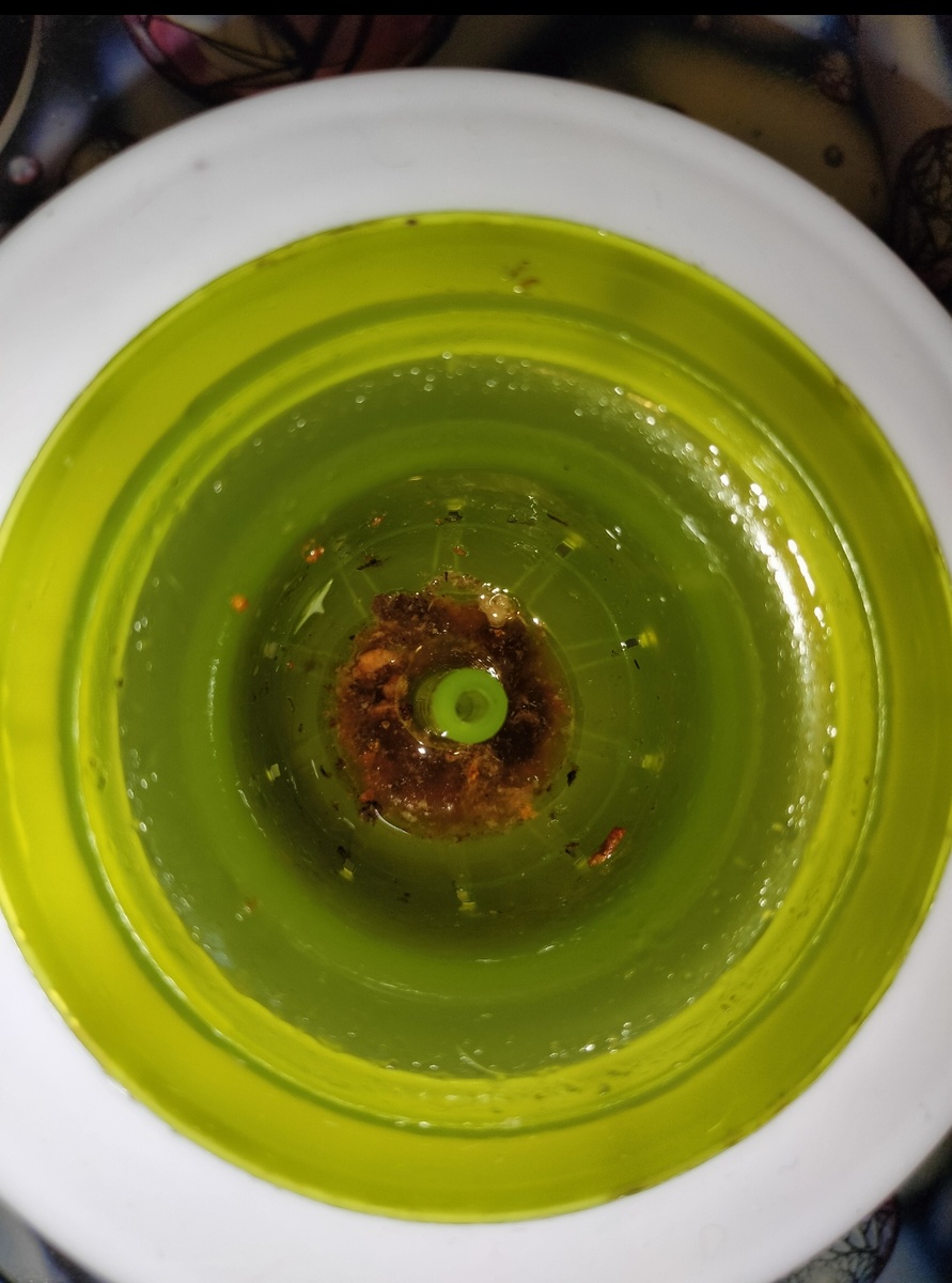 ОТКРУТИТЬ, ПРОМЫТЬ И ДАТЬ СТЕЧЬ ВОДЕ