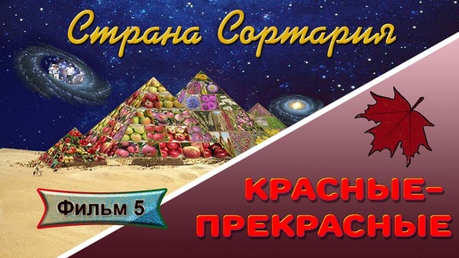 Страна Сортария Фильм 5 Красные-прекрасные