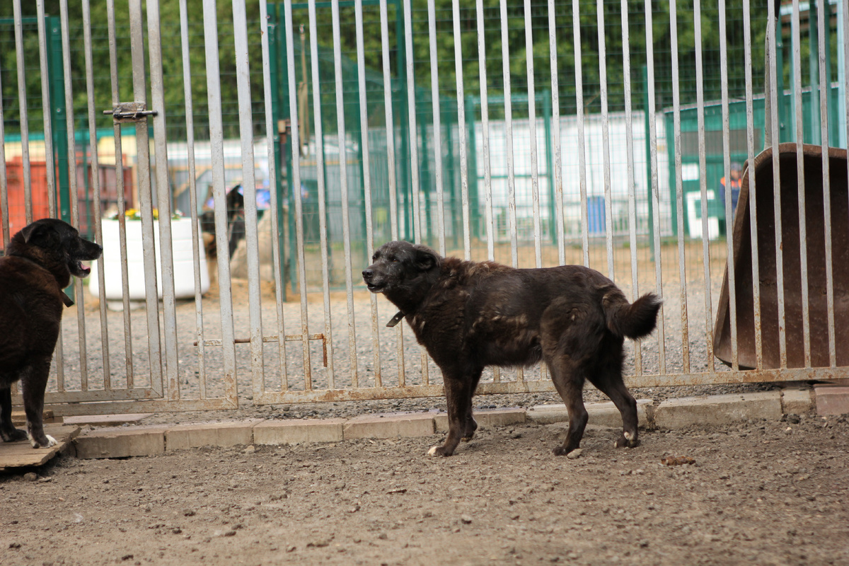 Иллюзий не питаю, но верю в любовь