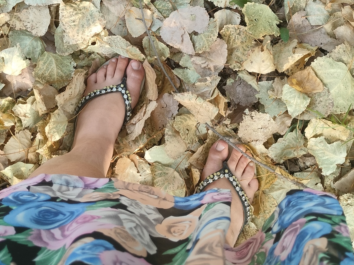 Шуршу листьями