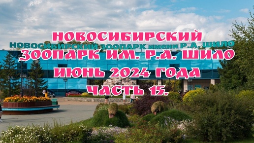 下载视频: Новосибирский зоопарк им. Р.А. Шило/ Июнь 2024 года/ Часть 15.