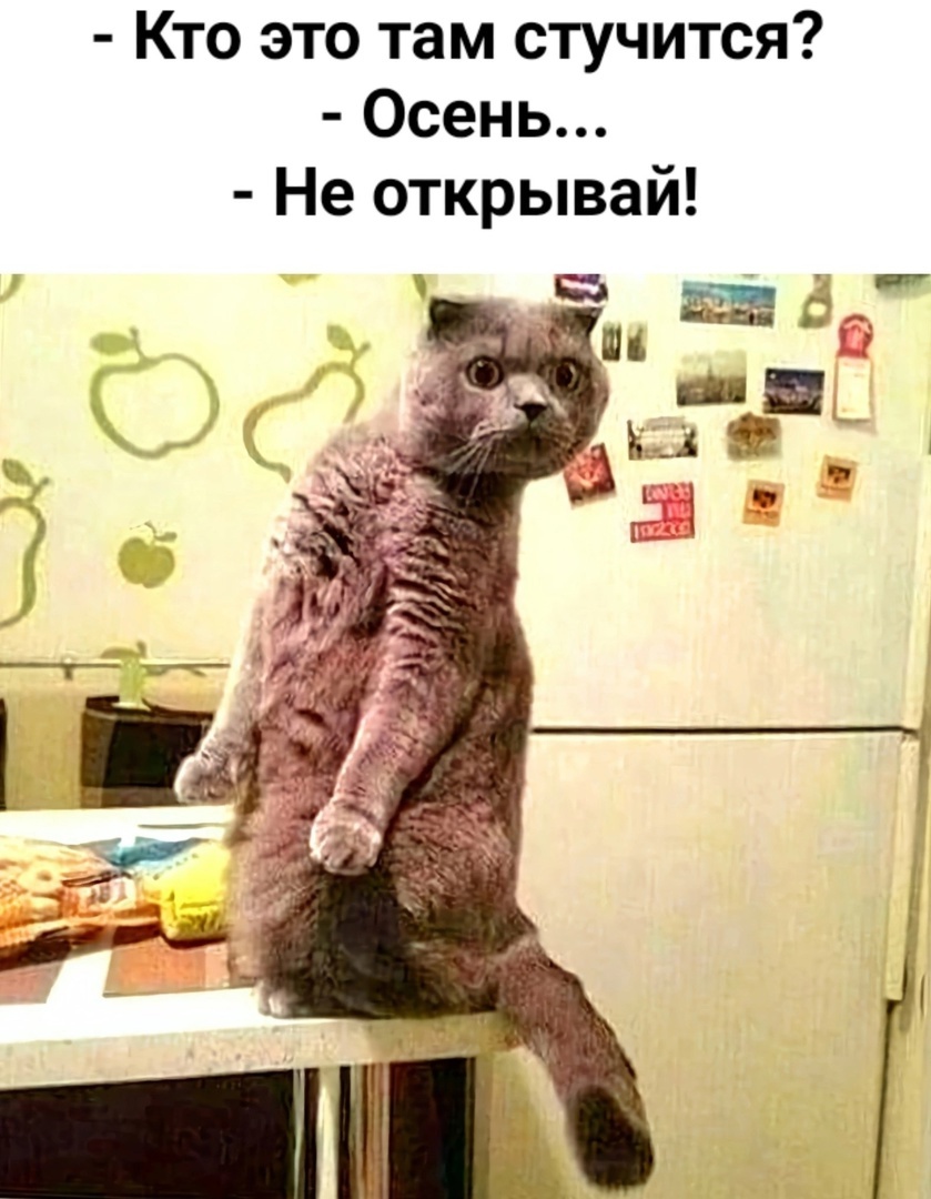 иллюстрация из яндекс картинки.
