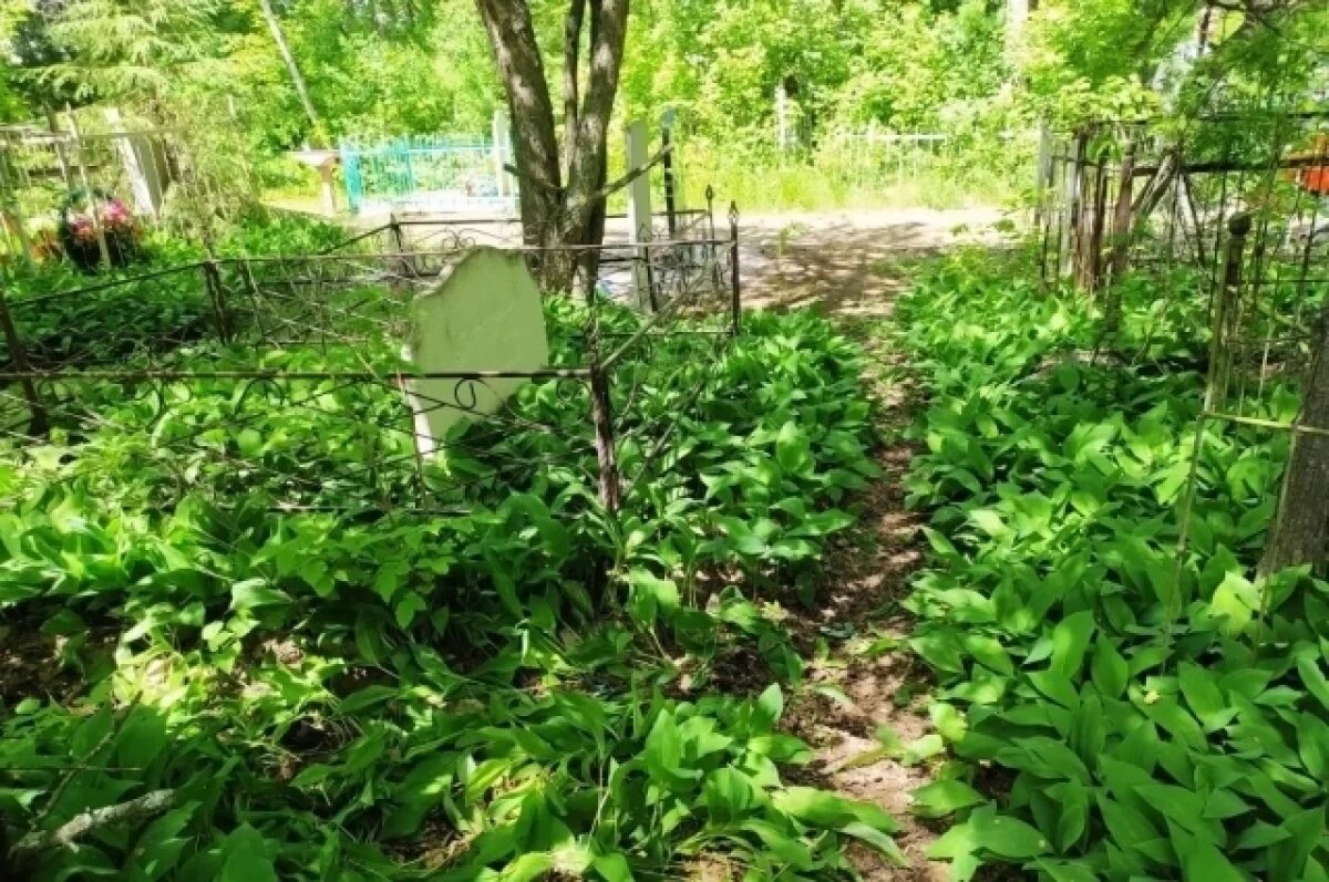    Сибиряк расправился с новой знакомой в одном из дачных сообществ Барабинска.