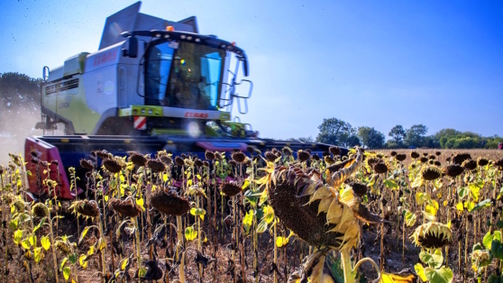    Правительство России продлило меры защиты внутреннего рынка продовольствия Ирина Петрова