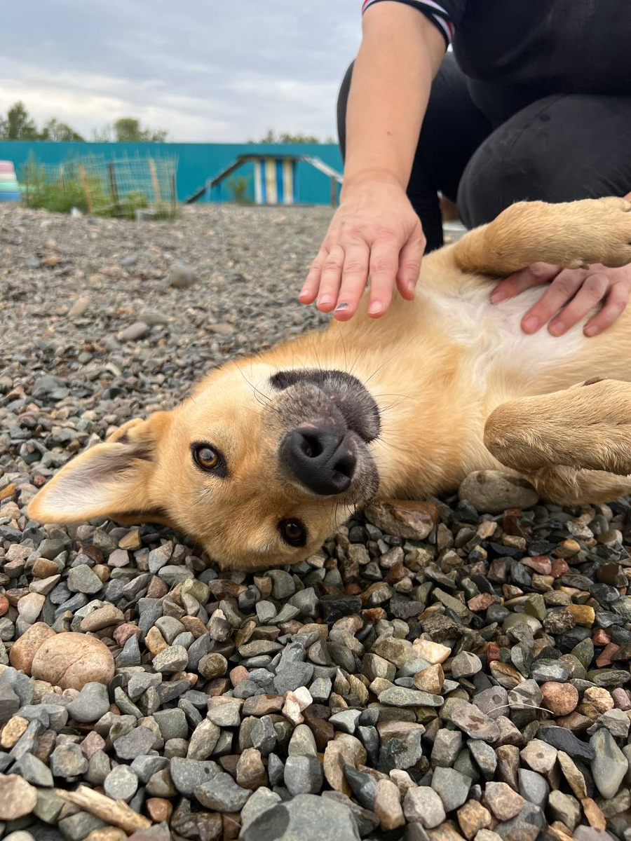 Помните Глорию?