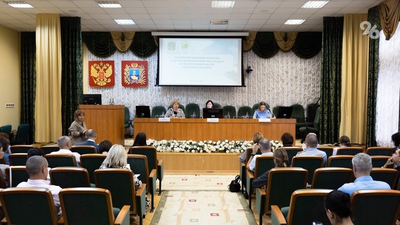    Заседание комиссии по делам несовершеннолетних и защите их прав при правительстве Ставропольского края в минобразования региона Фото: Родион Колчанов / / ИА «Победа26»