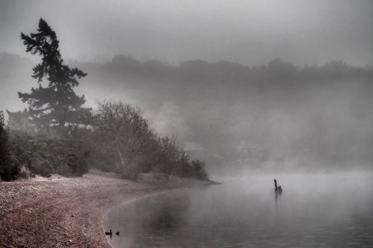    Угорь-мутант или кто-то ещё?