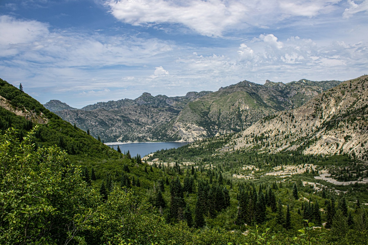 Фото с бесплатного фотостока https://unsplash.com, автор Peter Robbins