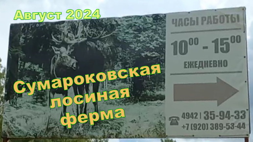 Сумароковская лосиная ферма. Август 2024.