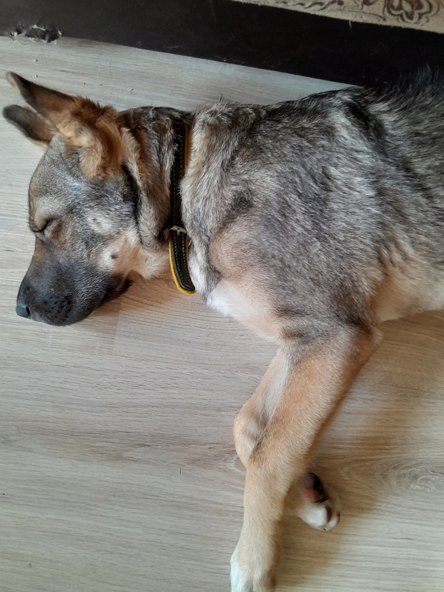 Дрыхнем на новом месте.