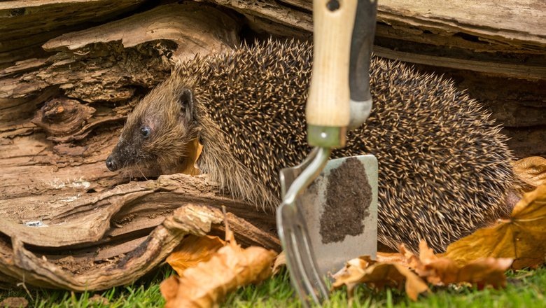 Источник: Shutterstock