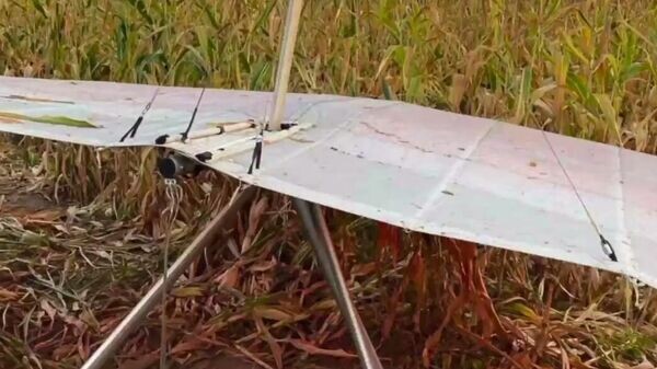    © Photo : Telegram / СК Беларуси