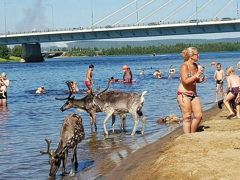 Число пи презентация. 14 что это. Число пи. Бесконечное число пи. 14 что это.