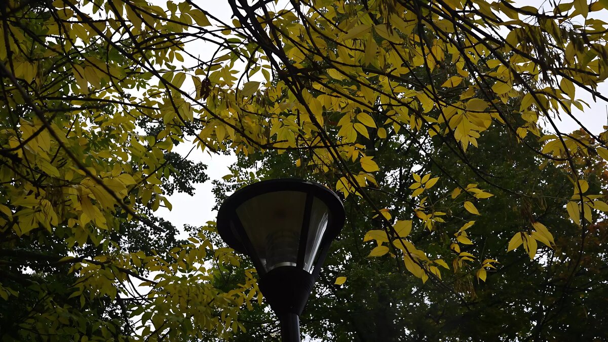     Источник: 1MI