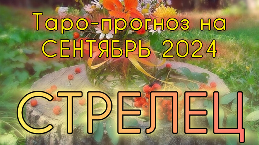 СТРЕЛЕЦ ♐️ ТАРО-ПРОГНОЗ НА СЕНТЯБРЬ 2024