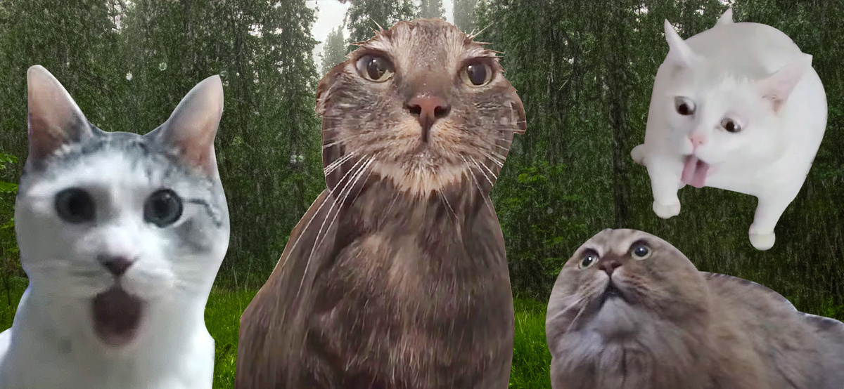 удивительный мир кошек