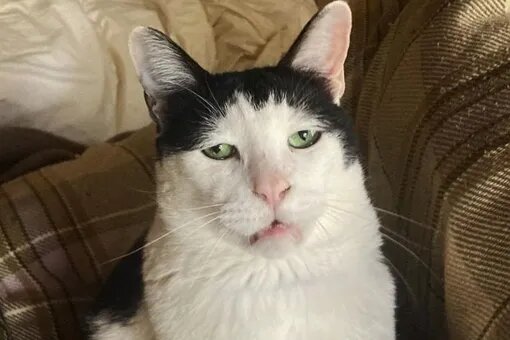 устал получается