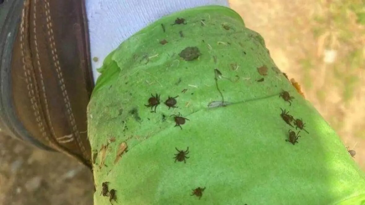     Источник: Соцсети