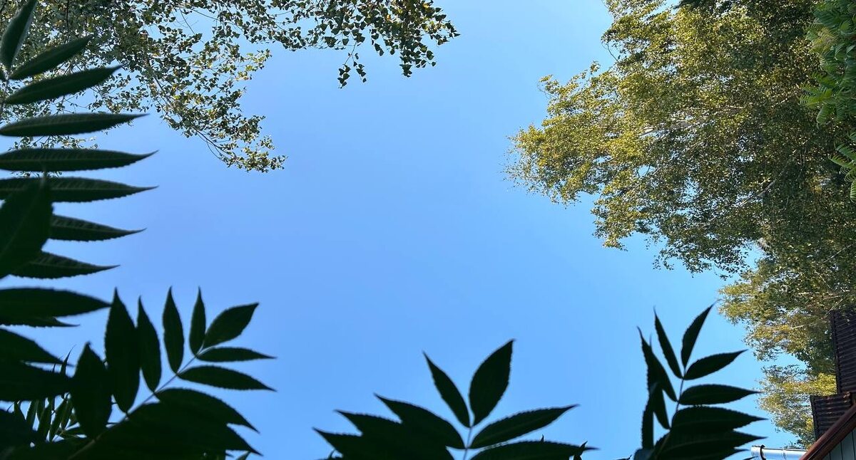 фото с тг канала Е. Иолтуховской