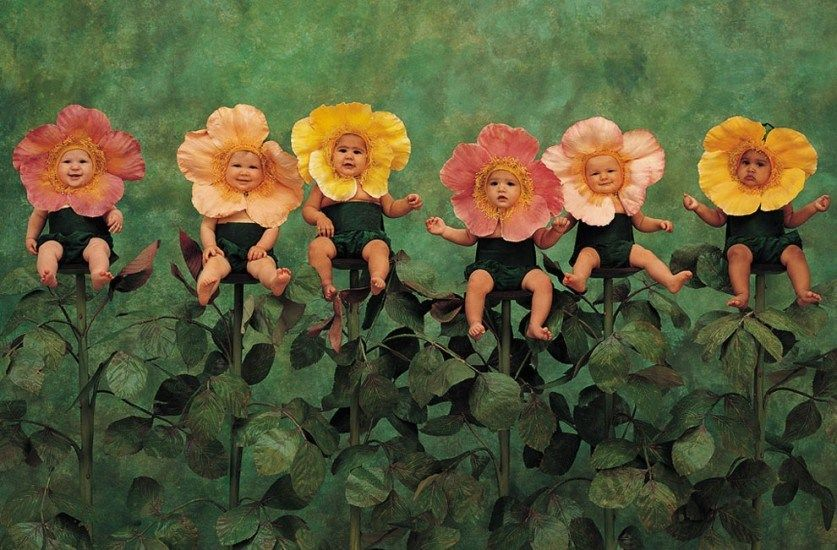 Фотография Анны Геддес (Anne Geddes)