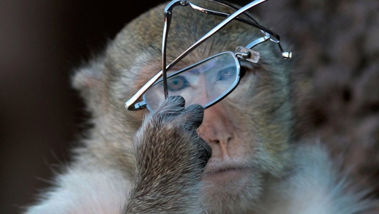 Источник: AP 2023