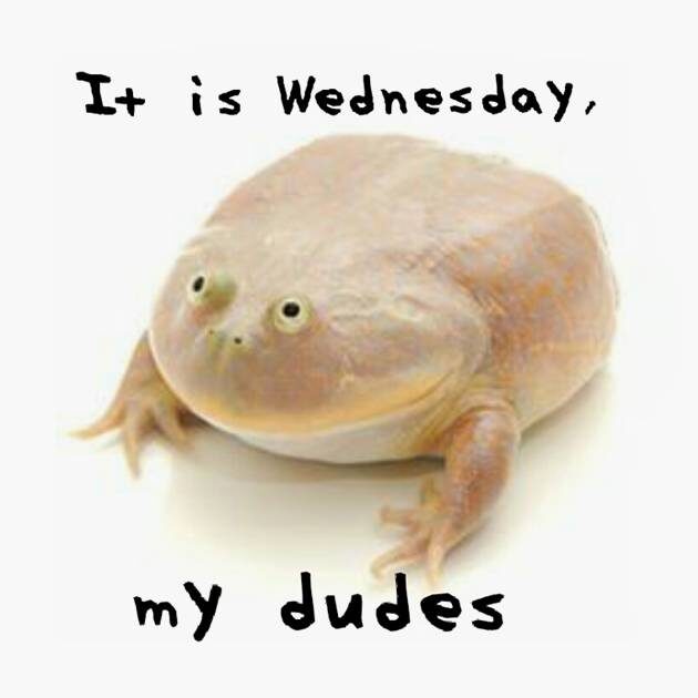 Оригинальный мем