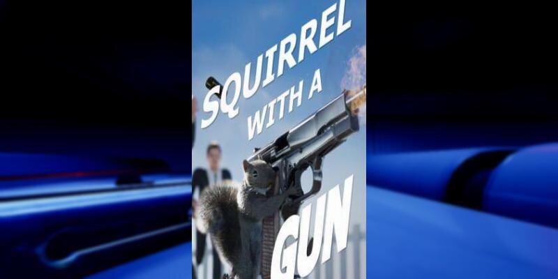    Игра Squirrel with a Gun