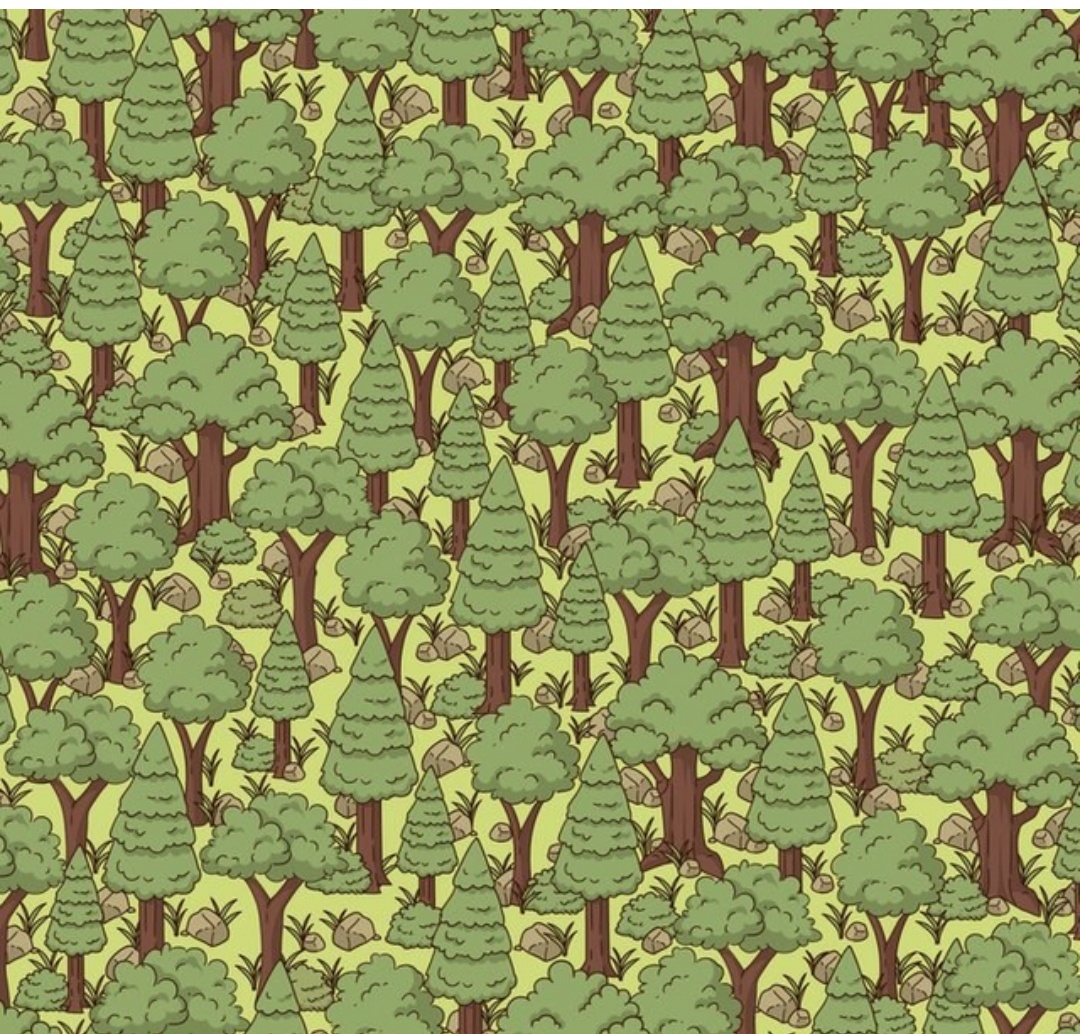 Играй "найди предмет"