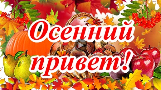 Осенний привет! Желаю тёплой осени!