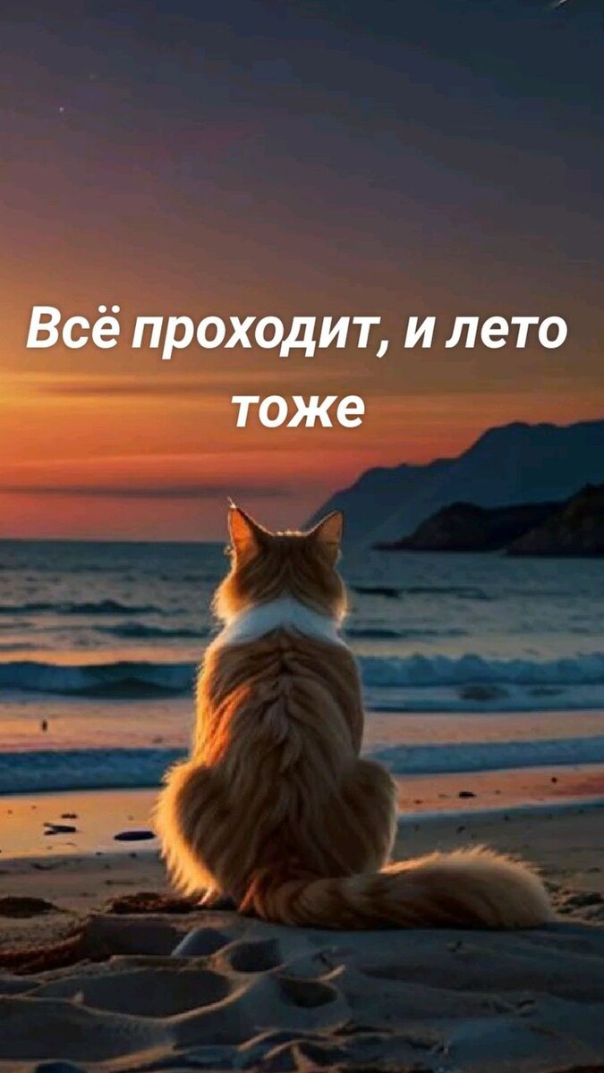 Лето миролюбова слова