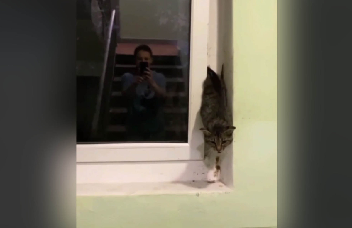 Кадр: Спасрезерв