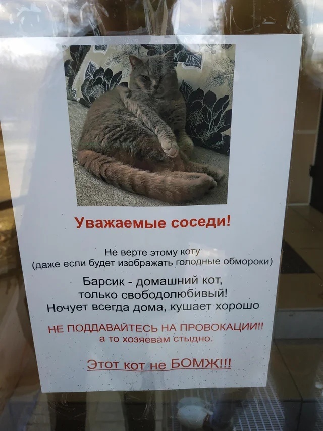 не бомж