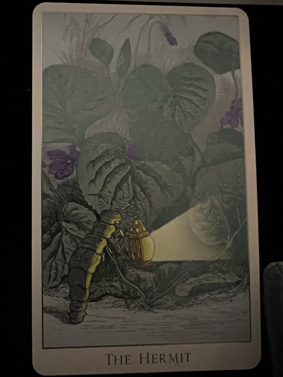 СА -IX "Отшельник" колоды таро "Фантастический зверинец".