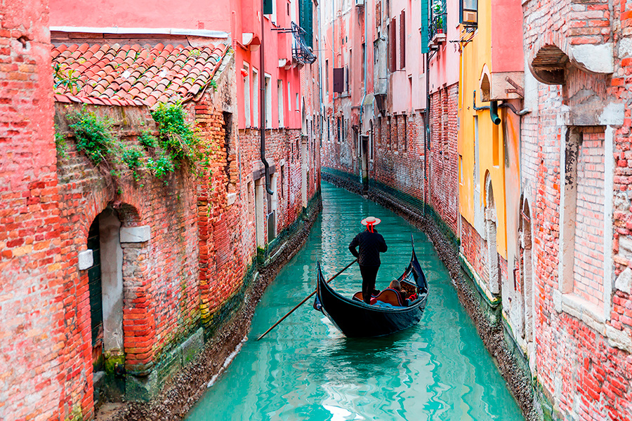    Фото: Muratart / Shutterstock.com