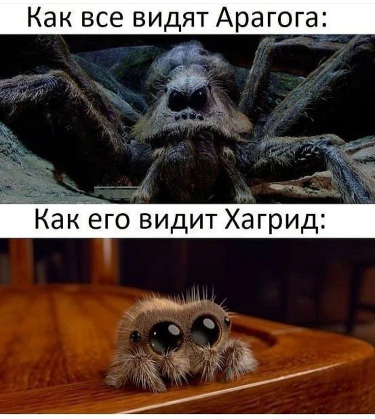 Картинка взята из открытого доступа в сети Интернет