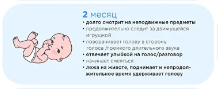 Источник: https://roddom.msk.ru/poleznoe/razvitie-rebenka-po-mesyatsam-do-goda