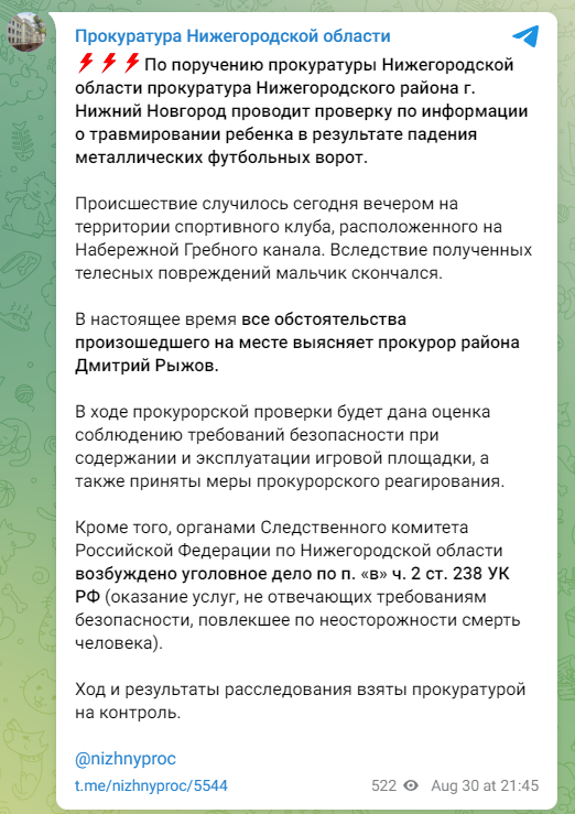 ФОТО: Скриншот https://t.me/nizhnyproc