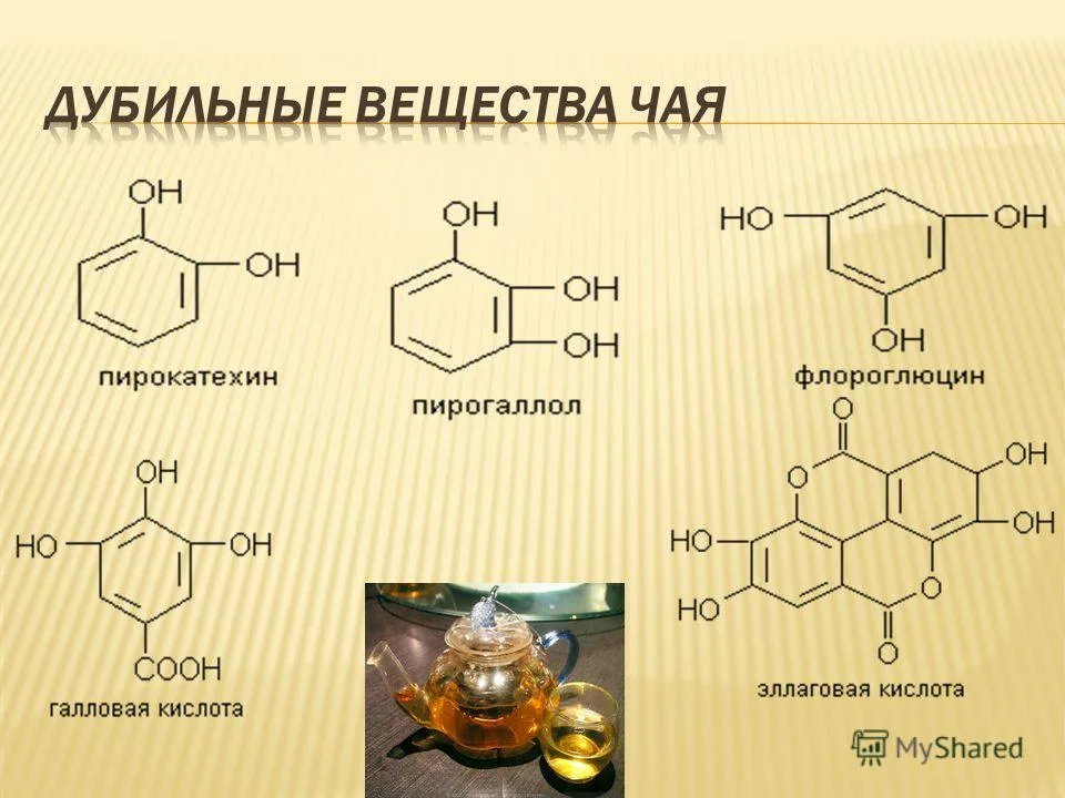 Дубильные вещества танины. Дубильные вещества химическая формула. Дубящее действие это. Дубящее действие это в медицине. Дубильные вещества.