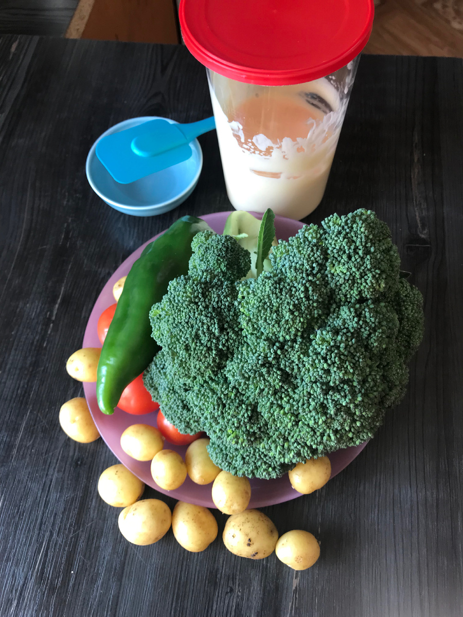 Ингредиенты для запеканки.